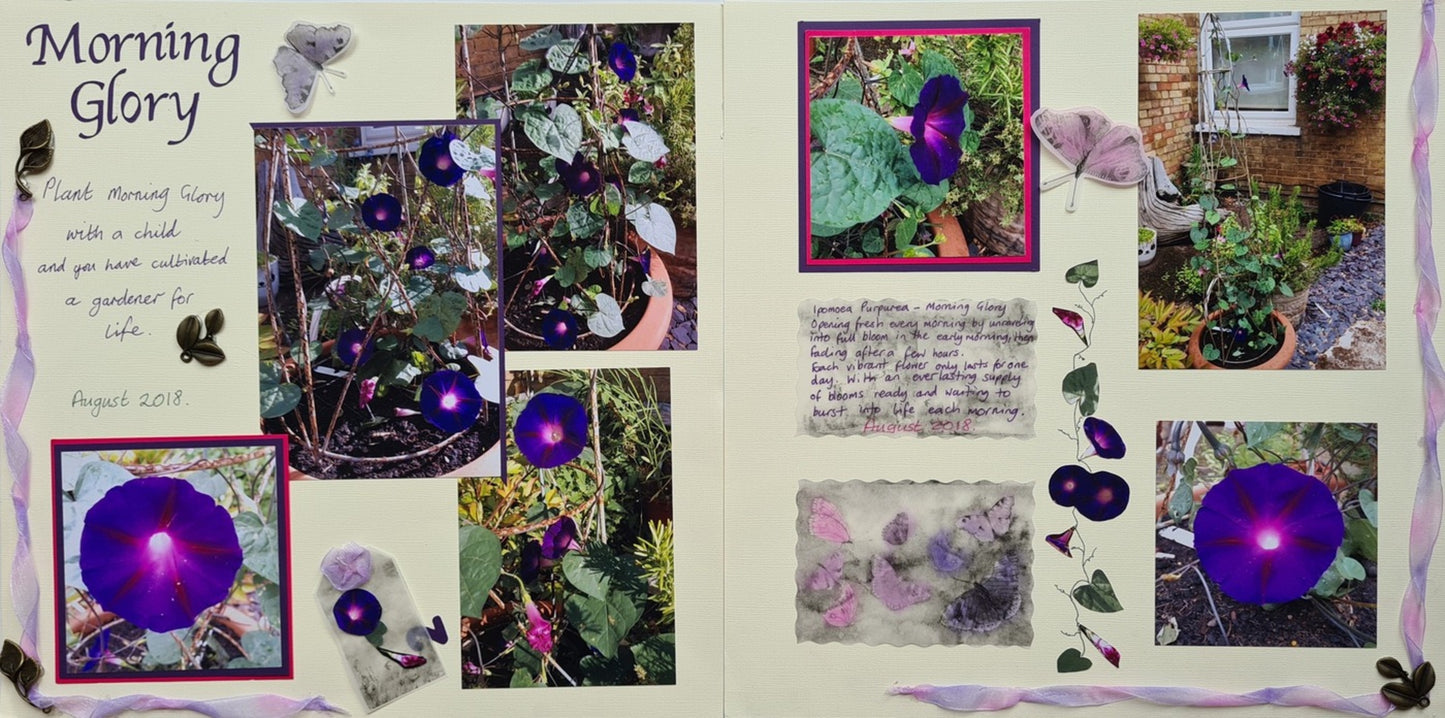 Scrap Box Club - December 2021 - limited stock - Memories and Photos