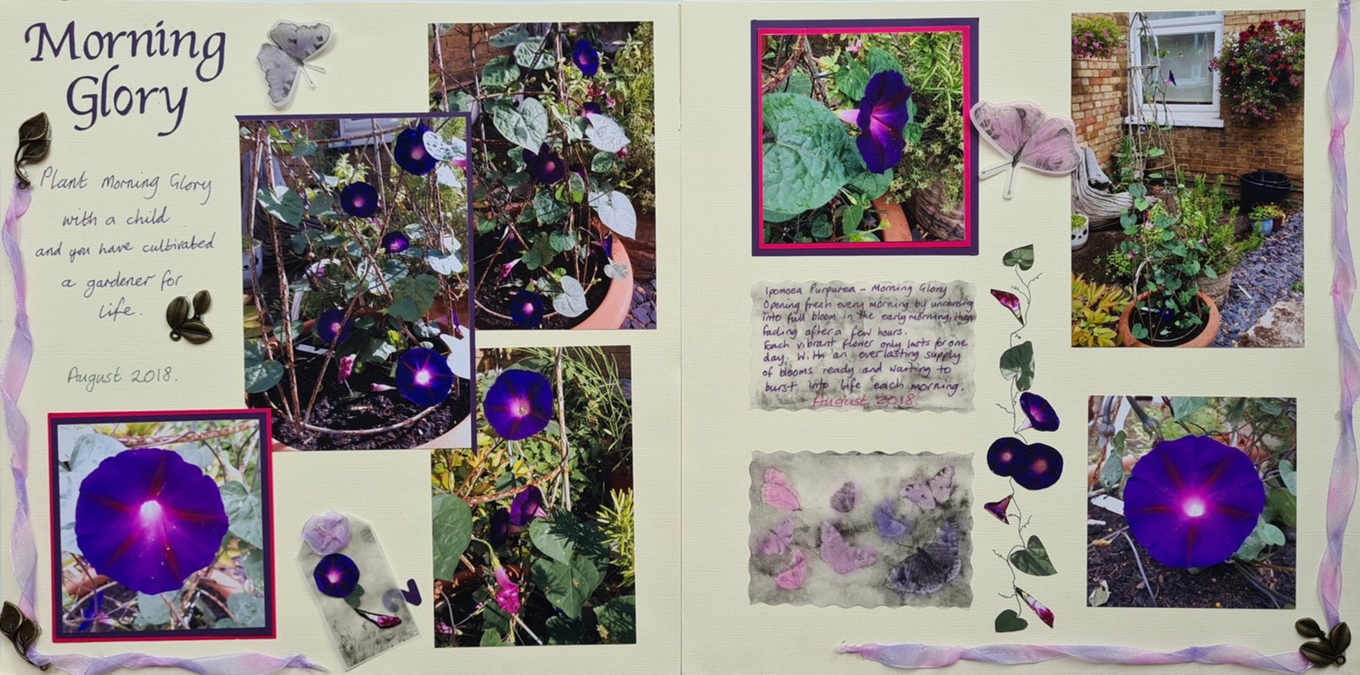 Scrap Box Club - December 2021 - limited stock - Memories and Photos